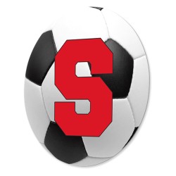 4048 ROUND INSERT FOR HITCH COVER