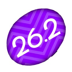 4049 - Oval Insert for Hitch Covers