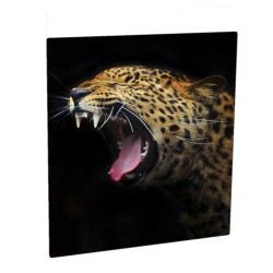 4072 10x10 Gloss White Chromaluxe Aluminum