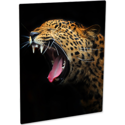 4558 Semi-Gloss White Metal Sublimation Print sold in a package of 10 p/c 30x40