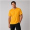 GOLD Lightweight Performance Polyester T-Shirt – Medium