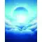 Downloadable Standard Sublimation Blank Product Catalog