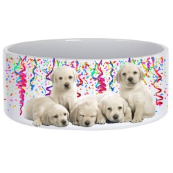 Large Dog Pet Bowl- Large Dog Pet Bowl-