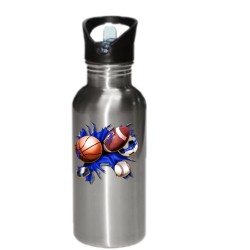 Stainless Steel Silver Straw Top Water Bottle Stainless Steel Silver Straw Top Water Bottle