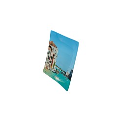 8" Glass Plate 8" Glass Plate