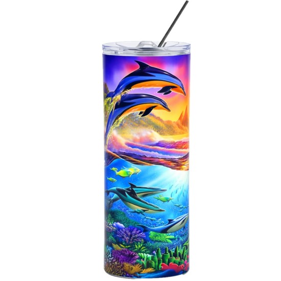 20oz Stainless Steel Skinny Tumbler