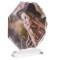 Eight square Sunower Sublimation Crystal