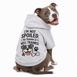 Pet Hooded Shirts Medium White