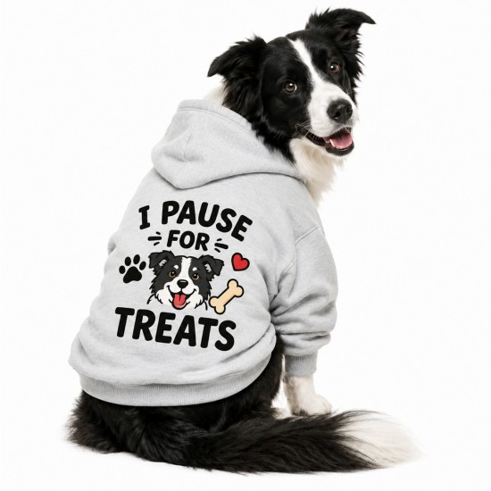 Pet Hooded Shirts WHITE X-Large