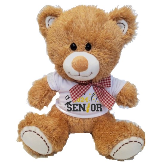 TEDDY WITH SHIRT H-3