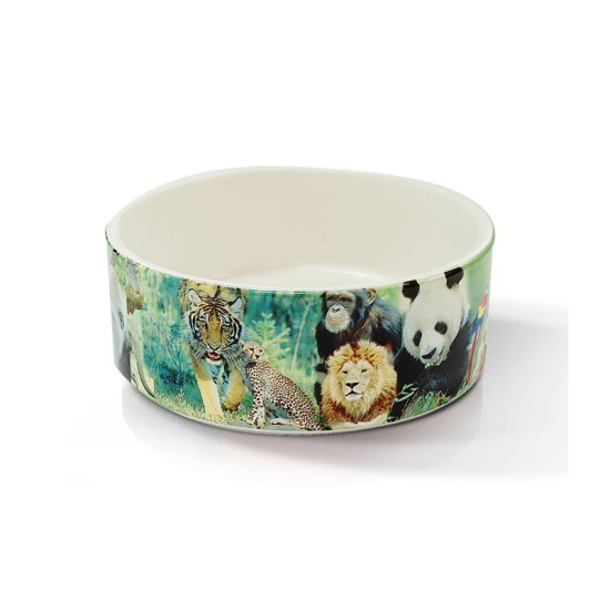 Large Dog Pet  Bowl- (B4D)  H-1