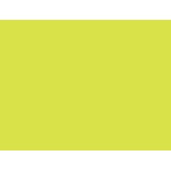 ECONOMY EX -NEON YELLOW ECONOMY EX -NEON YELLOW