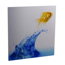 4255 Clear Silver Metal Print 6x6