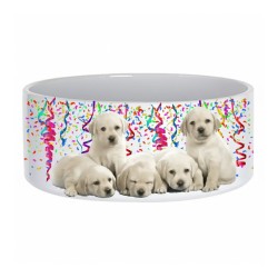 Large Dog Pet Bowl-