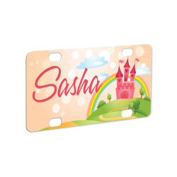 4565 Mini License Plate 4565 Mini License Plate