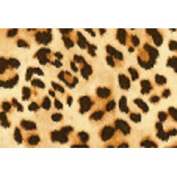 FASHIONEX LEOPARD FASHIONEX LEOPARD