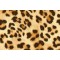 FASHIONEX LEOPARD